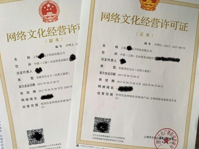 上海網(wǎng)絡(luò)文化經(jīng)營(yíng)許可證辦理全攻略 條件、流程與注意事項(xiàng)